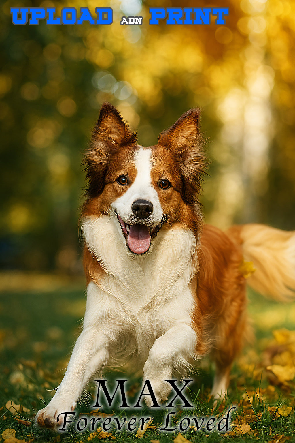 Custom Adhesive Poster Printing – Upload Your Photo,Personalized Large Wall Art,Waterproof, Durable, One-Piece Minimum | 24x36,18x24 Inches